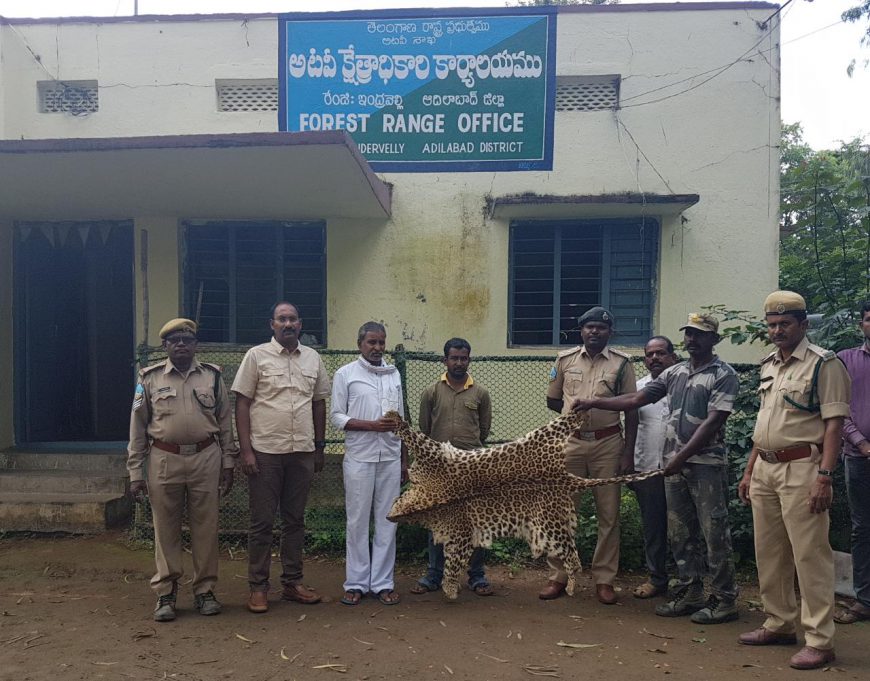 Forest Department seized Leopard skin